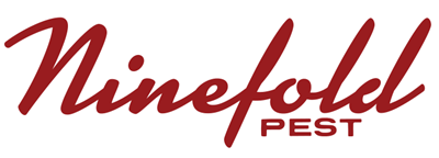 site logo